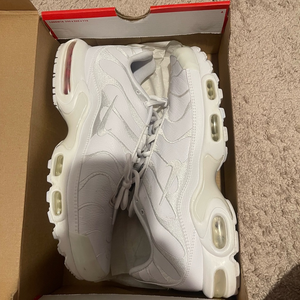 Nike Air Max Plus in White